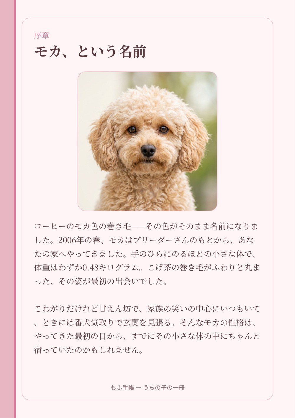 うちの子の一冊 4/23：序章 ― モカ、という名前