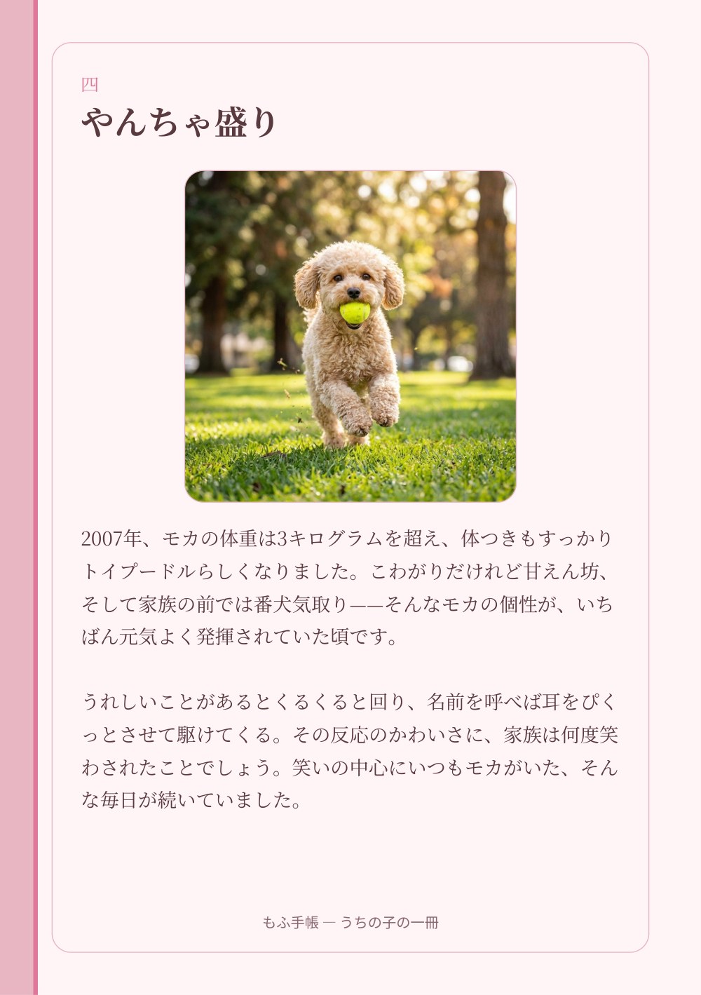 うちの子の一冊 8/23：四 ― やんちゃ盛り