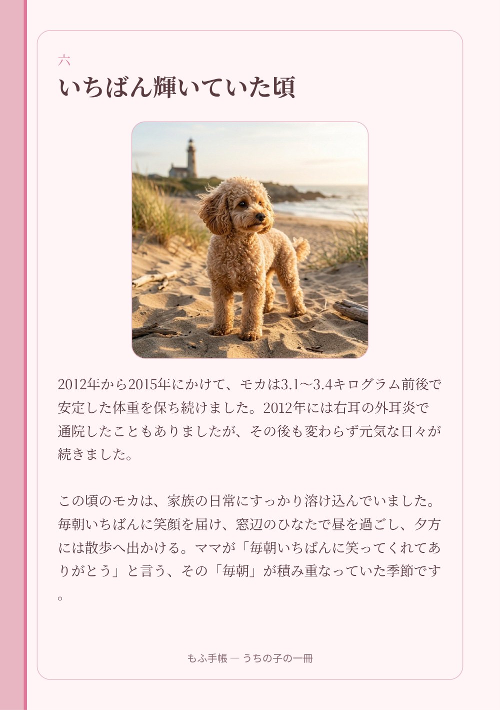 うちの子の一冊 10/23：六 ― いちばん輝いていた頃