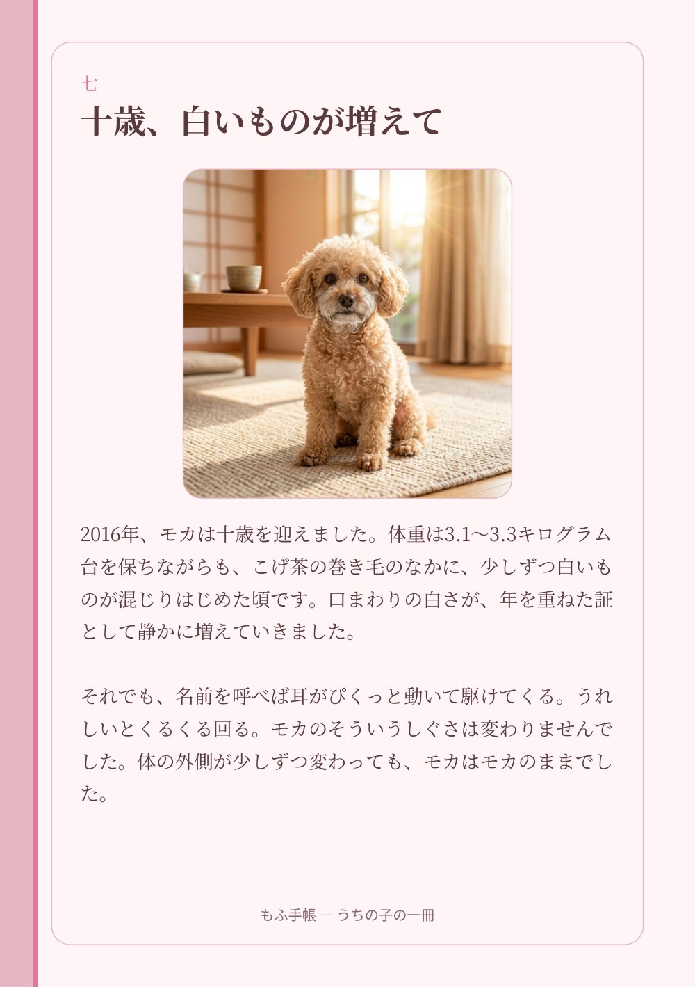 うちの子の一冊 11/23：七 ― 十歳、白いものが増えて