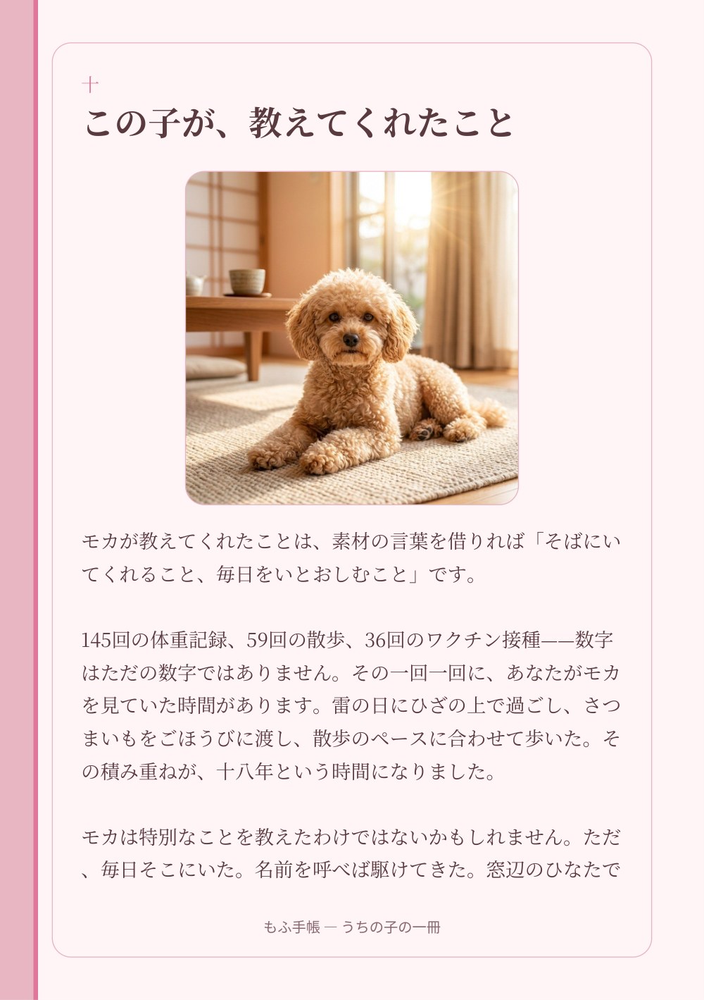 うちの子の一冊 14/23：十 ― この子が、教えてくれたこと