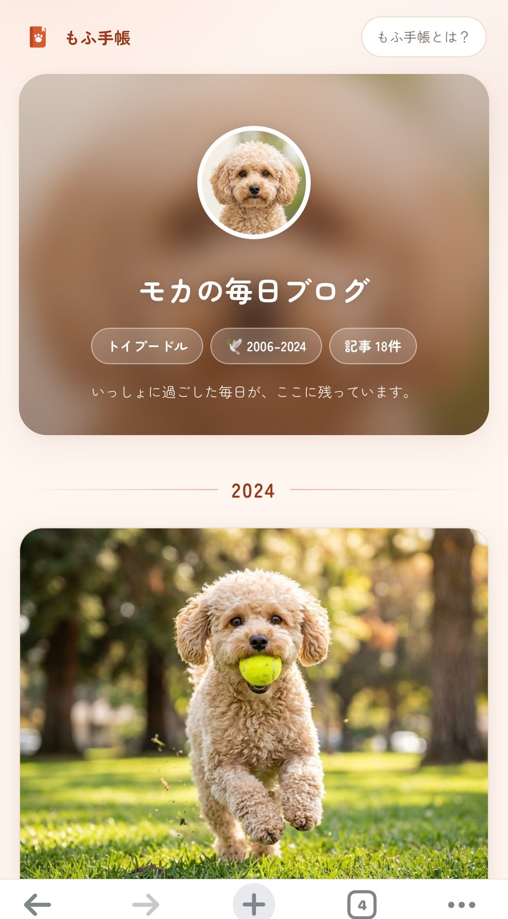 うちの子ブログ 実物サンプル(トップページ・モカの毎日ブログ)